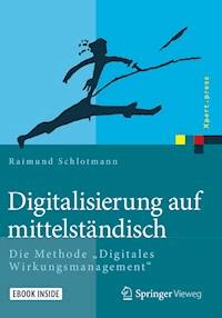 Digitalisierung auf mittelständisch - Raimund Schlotmann - E-Book