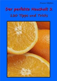 Der perfekte Haushalt 2 - Alina Steffen - E-Book