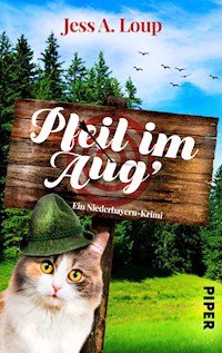 Pfeil im Aug' - Jess A. Loup - E-Book