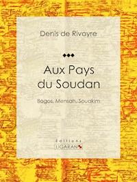 Aux Pays du Soudan - Denis de Rivoyre - E-Book