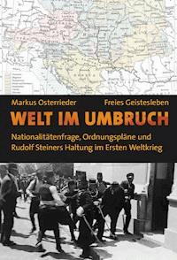 Welt im Umbruch - Markus Osterrieder - E-Book