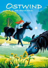 OSTWIND - Erstleser Band 20 - Das rettende Fohlen - THiLO - E-Book