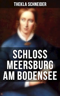 Schloss Meersburg am Bodensee - Thekla Schneider - E-Book