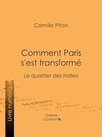 Comment Paris s'est transformé - Camille Piton - E-Book
