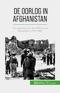 De oorlog in Afghanistan - Mylène Théliol - E-Book