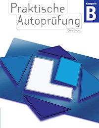 Praktische Autoprüfung - Dudo Erny - E-Book