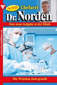 Die Weichen sind gestellt - Patricia Vandenberg - E-Book