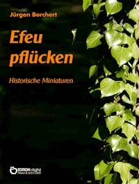 Efeu pflücken - Jürgen Borchert - E-Book