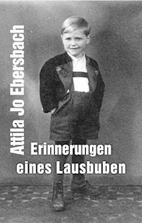 Erinnerungen eines Lausbuben - Attila Jo Ebersbach - E-Book