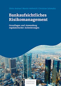Bankaufsichtliches Risikomanagement - Silvio Andrae - E-Book