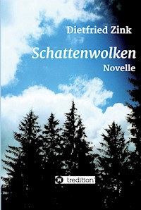 Schattenwolken - Dietfried Zink - E-Book