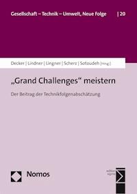 "Grand Challenges" meistern -  - E-Book