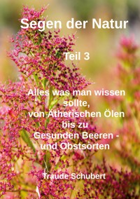Segen der Natur - Teil 3 - Traude Schubert - E-Book