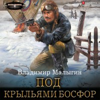 Под крыльями Босфор - Владимир Малыгин - Hörbuch