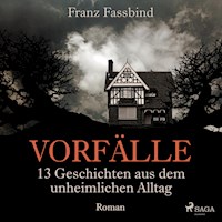 Vorfälle. 13 Geschichten aus dem unheimlichen Alltag (Ungekürzt) - Franz Fassbind - Hörbuch