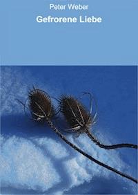 Gefrorene Liebe - Peter Weber - E-Book