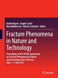 Fracture Phenomena in Nature and Technology -  - E-Book
