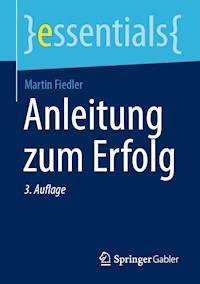 Anleitung zum Erfolg - Martin Fiedler - E-Book