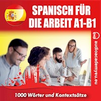 Spanisch für die Arbeit A1-B1 - Tomas Dvoracek - Hörbuch