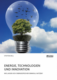 Energie, Technologien und Innovation. Wie lassen sich Energiespeicher sinnvoll nutzen? - Will Steffen - E-Book
