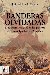 Banderas olvidadas - Julio Albi de la Cuesta - E-Book