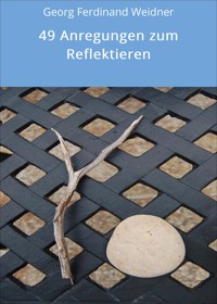 49 Anregungen zum Reflektieren - Georg Ferdinand Weidner - E-Book