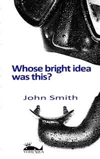 Whose bright idea was this - John Smith - E-Book