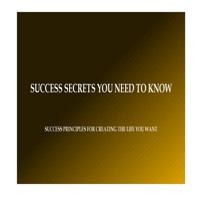 Success Secrets You Need to Know - Marcus T - Hörbuch