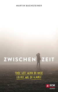 Zwischenzeit - Martin Buchsteiner - E-Book