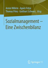 Sozialmanagement – Eine Zwischenbilanz -  - E-Book