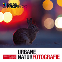 Urbane Naturfotografie - Georg Popp - E-Book