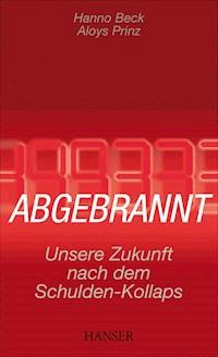 Abgebrannt - Hanno Beck - E-Book