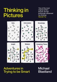 Thinking in Pictures - Michael Blastland - E-Book