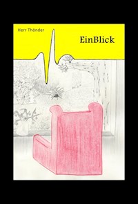 EinBlick - Herr Thönder - E-Book