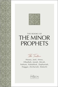 The Books of The Minor Prophets - Brian Simmons - E-Book