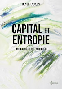 Capital et entropie - Benoit Lascols - E-Book