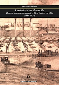 Crecimiento sin desarrollo - Mario Matus González - E-Book