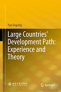 Large Countries’ Development Path: Experience and Theory - Yao Ouyang - E-Book