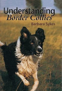 Understanding Border Collies - Barbara Sykes - E-Book