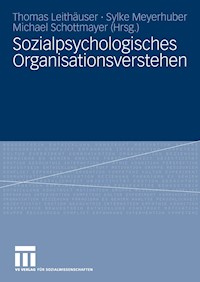 Sozialpsychologisches Organisationsverstehen - - E-Book
