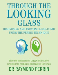 Through the Looking Glass - Raymond Perrin - E-Book