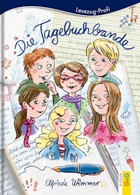 Die Tagebuchbande - Elfriede Wimmer - E-Book