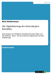 Die Digitalisierung des Stereoskopen Kinofilms - Birte Niedermeyer - E-Book
