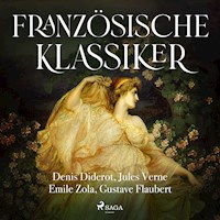 Französische Klassiker - Émile Zola - Hörbuch