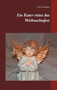 Ein Kater rettet das Weihnachtsfest - Uwe Goeritz - E-Book