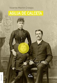 Aguja de calceta - Vicente Martín Crespo - E-Book