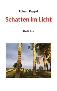 Schatten im Licht - Robert Kappel - E-Book