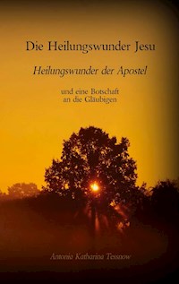 Die Heilungswunder Jesu, Heilungswunder der Apostel - Antonia Katharina Tessnow - E-Book