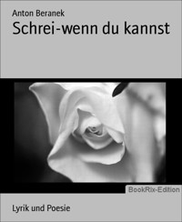 Schrei-wenn du kannst - Anton Beranek - E-Book
