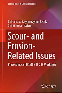 Scour- and Erosion-Related Issues -  - E-Book